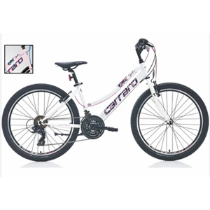 CARRARO SPEED 242 360H 21-V VB TOZ-PEMBE-MAVI-FUSYA-TURKUAZ-SIYAH R2