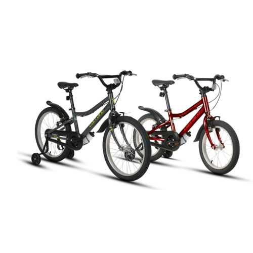 CARRARO DINO 20 285H 1-V VB GRI-SARI R6