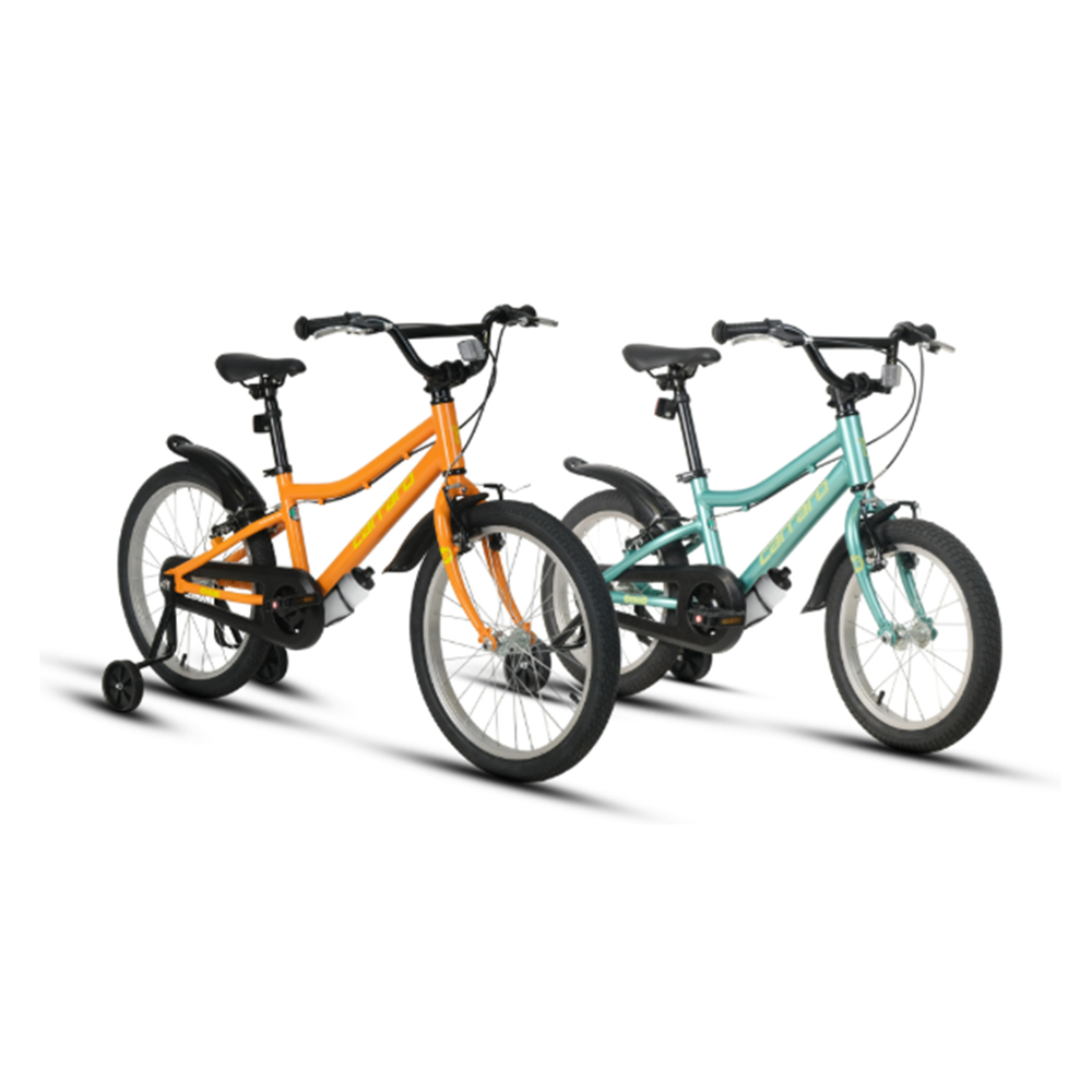 CARRARO DINO 20 285H 1-V VB TURUNCU-SARI R4