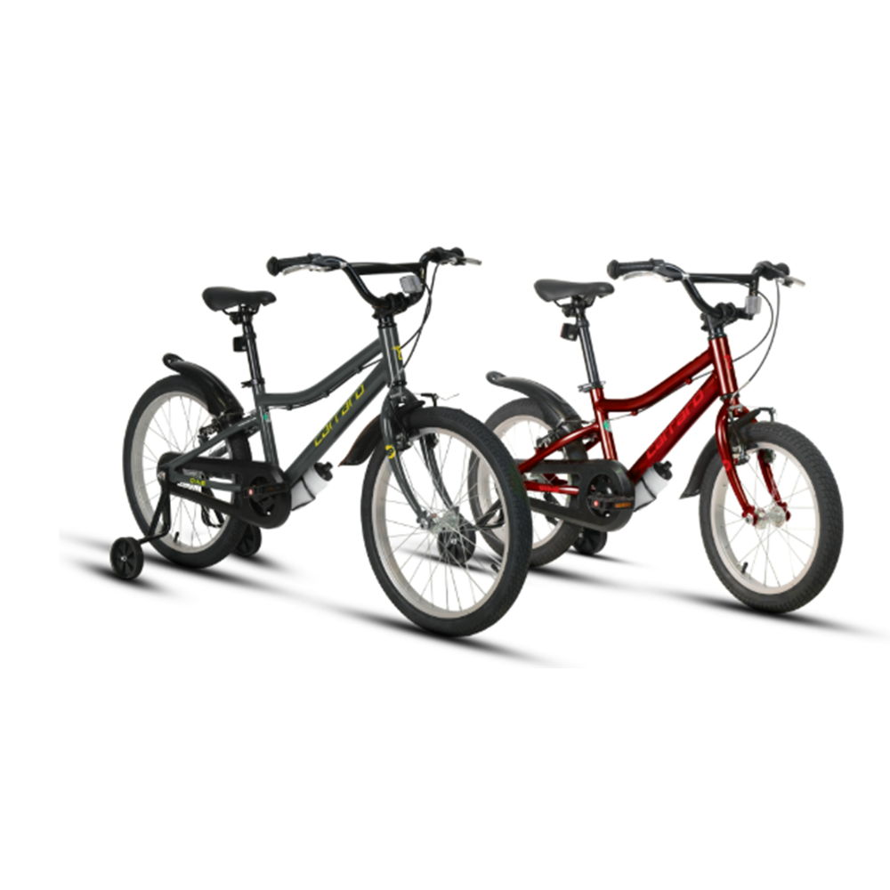 CARRARO DINO 20 285H 1-V VB GRI-SARI R6